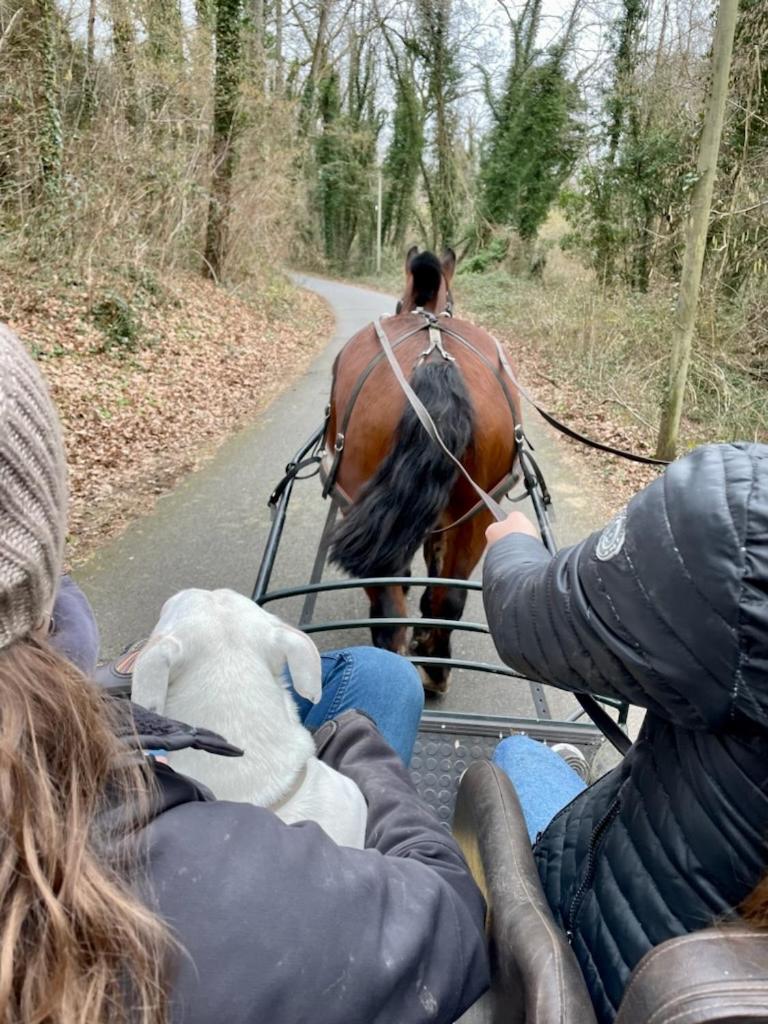Le Gite De Gaia Hotell Villemer  Exteriör bild