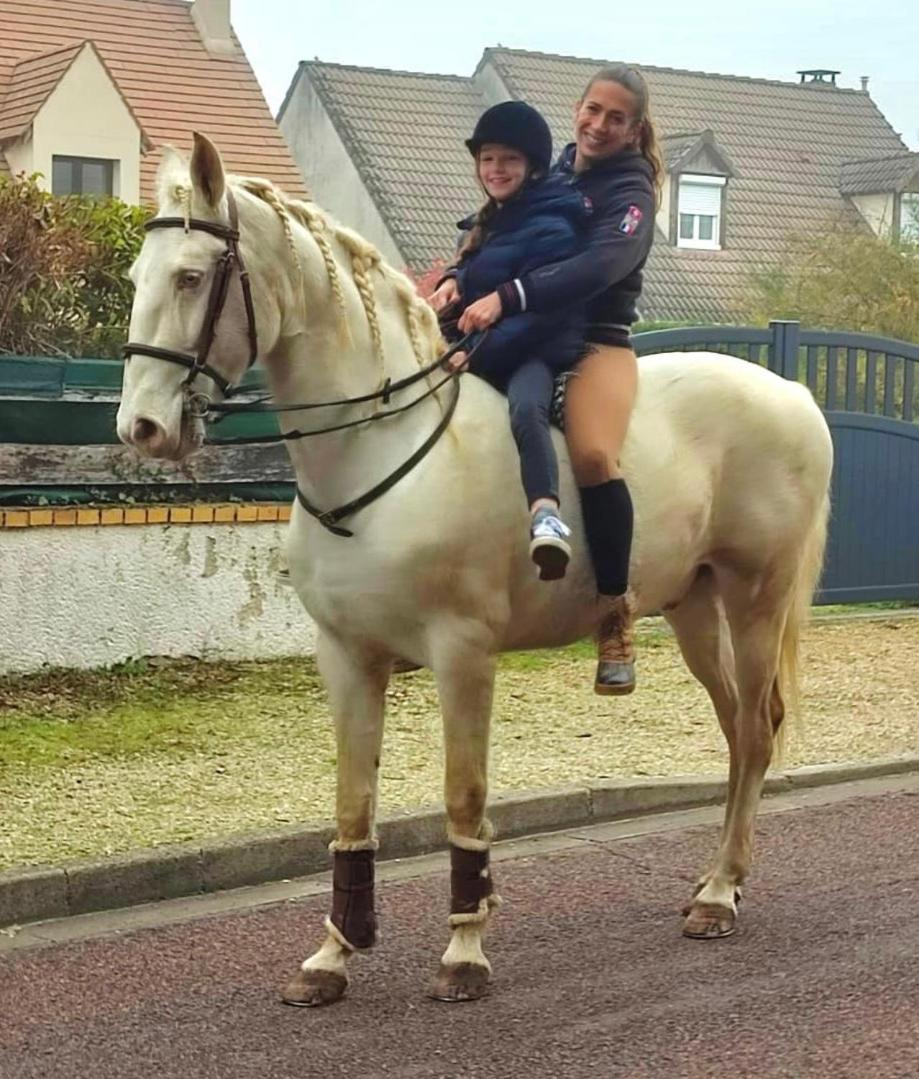 Le Gite De Gaia Hotell Villemer  Exteriör bild