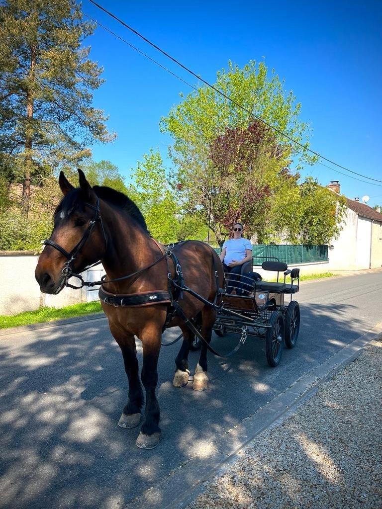 Le Gite De Gaia Hotell Villemer  Exteriör bild