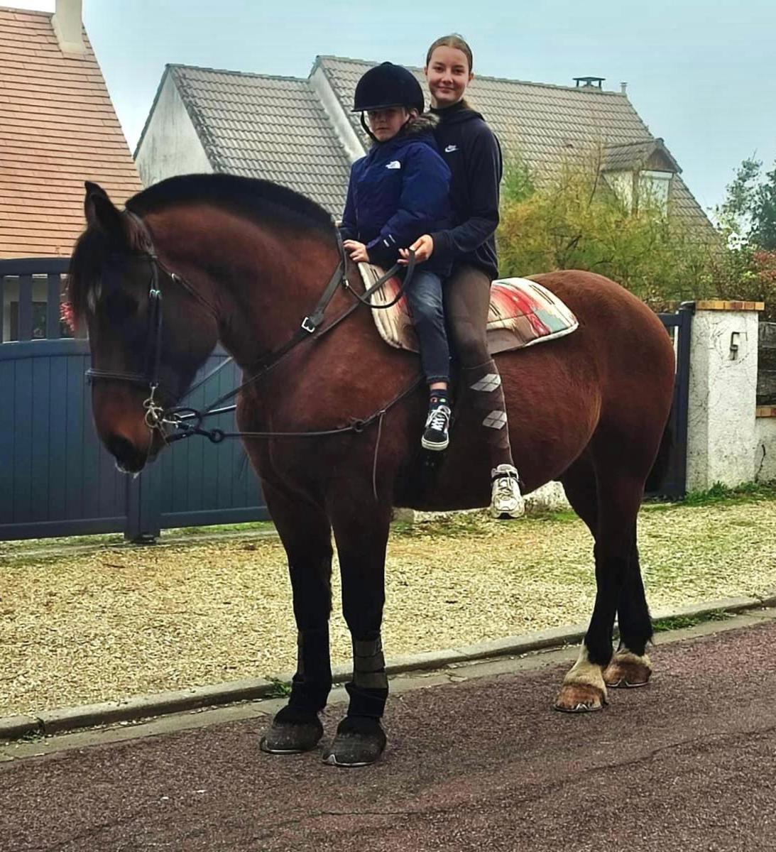 Le Gite De Gaia Hotell Villemer  Exteriör bild